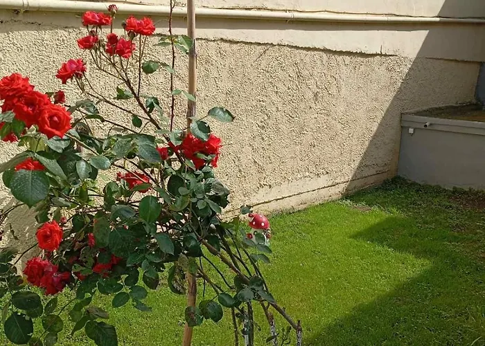 House & Garden
